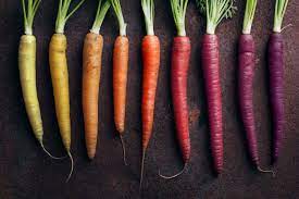 Carrot 1.jpg